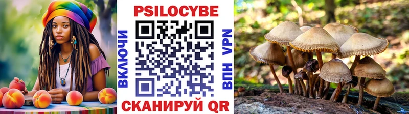 Псилоцибиновые грибы Magic Shrooms  hydra вход  Шуя 